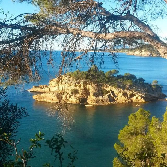 Apartmán Nautic L'Ametlla de Mar Exteriér fotografie